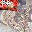 Remember KitKat