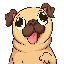 Pug Inu